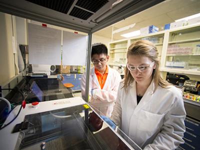 CBEE students in a lab.