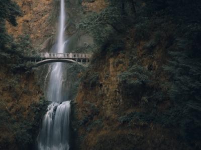 stock image of oregon fall