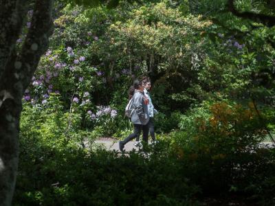 Two students walking through campus.