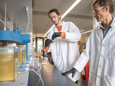 Jeff Nason and researcher in lab.