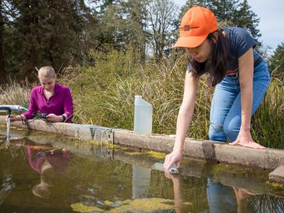Two students gathering samples outside at the OSU-Benton County Green Stormwater Infrastructure Research facility.