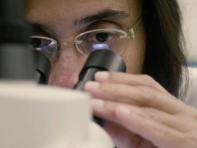 Faculty member Pallavi Dhagat looks through a microscope.