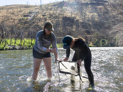 Two students setting up a trap in the middle of a river.