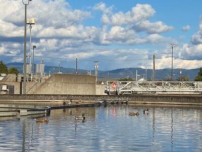 Dock with water surrounding it
